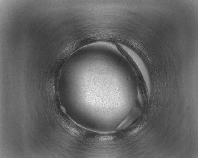 X0000058770501200510071546