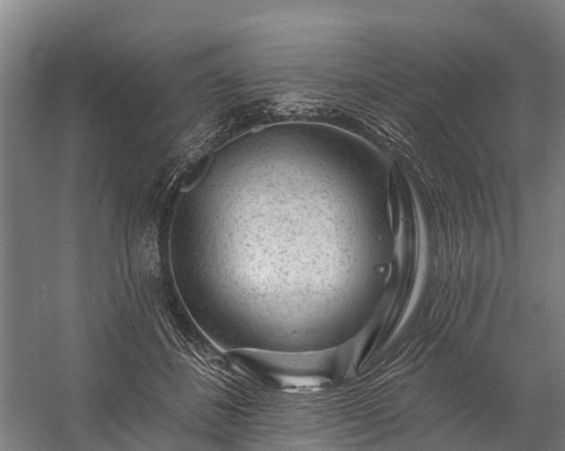 X0000058770508200510071546