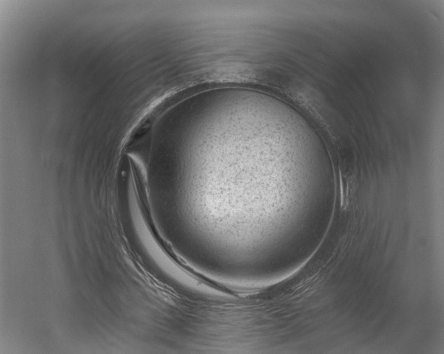 X0000058770531200510071545