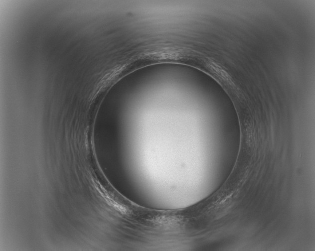 X0000058770537200510071545