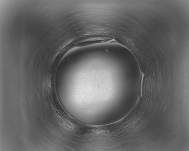 X0000058770539200510071545
