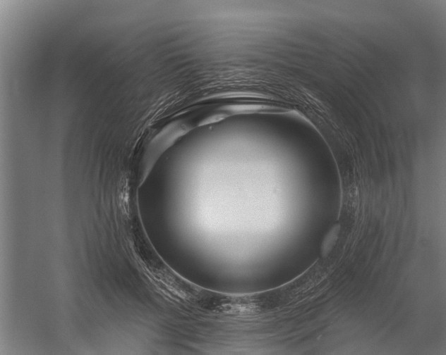 X0000058770552200510071545