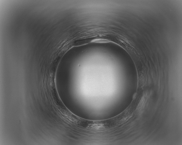 X0000058770554200510071545