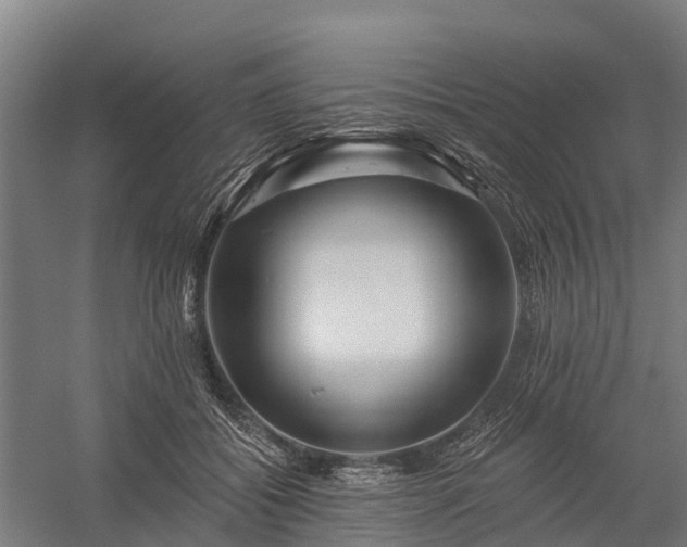 X0000058770556200510071545