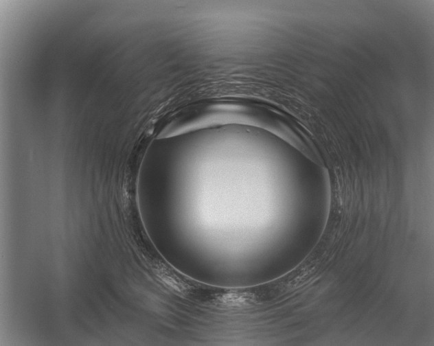 X0000058770566200510071545
