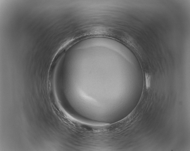 X0000058770579200510071545