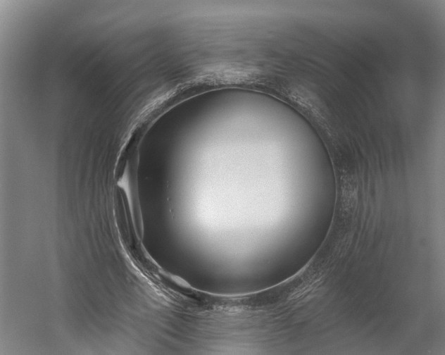 X0000058770582200510071545