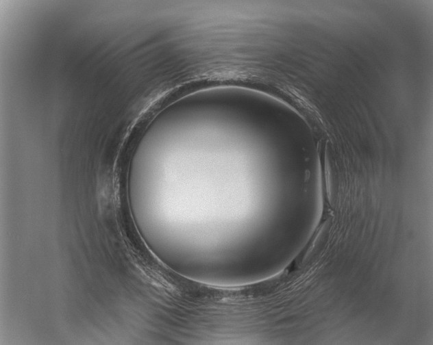 X0000058770584200510071545