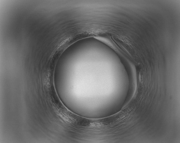 X0000058770591200510071545