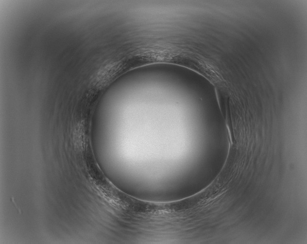 X0000058770594200510071544