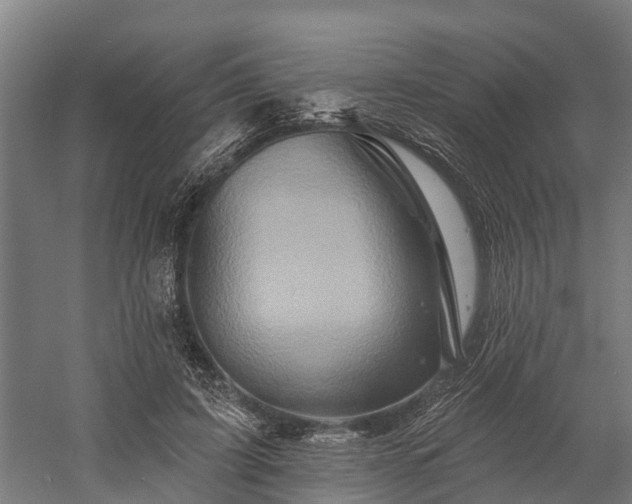 X0000058770595200510071544