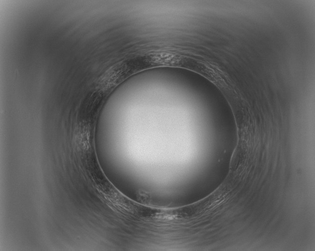 X0000058770602200510071544