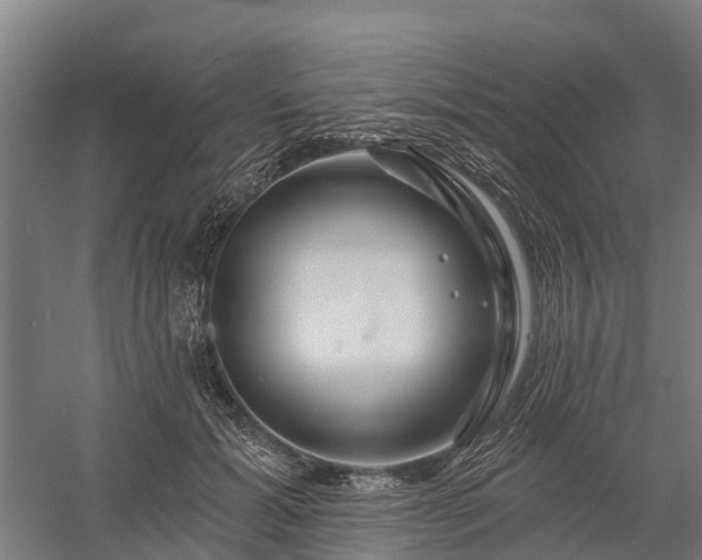 X0000058770605200510071544
