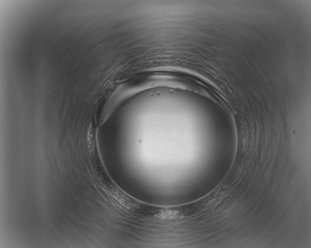 X0000058770609200510071544