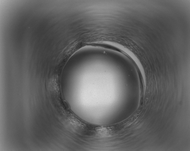 X0000058770616200510071544
