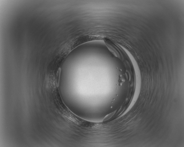 X0000058770617200510071544