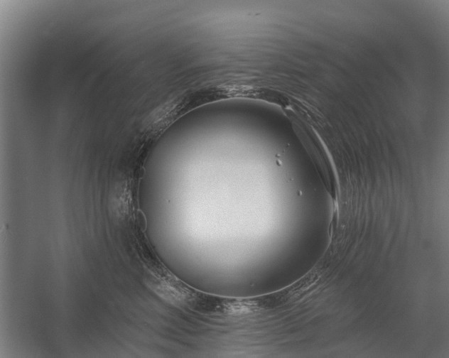 X0000058770618200510071544