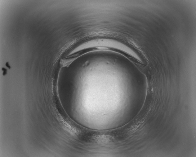 X0000058770637200510071543