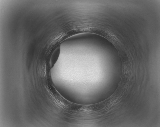 X0000058770648200510071544