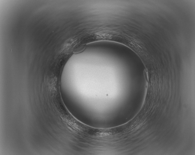 X0000058770649200510071544