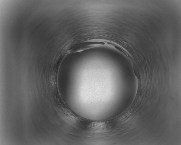 X0000058770665200510071544