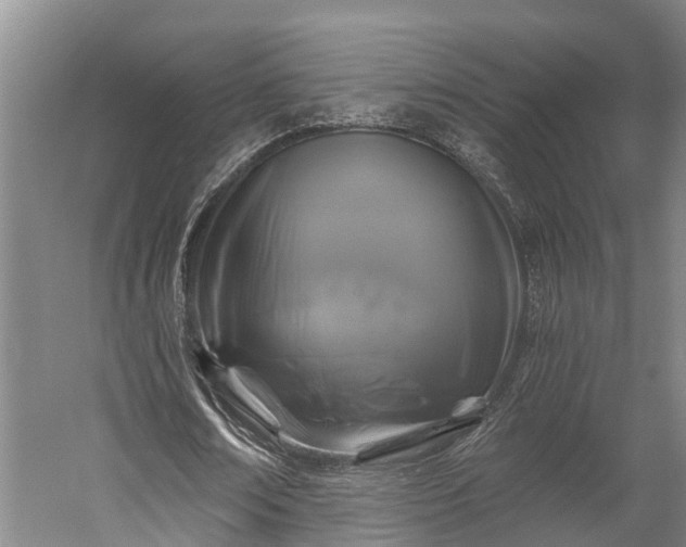 X0000058770674200510071543