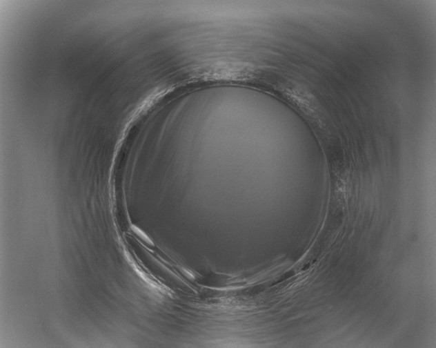 X0000058770678200510071543
