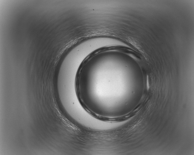 X0000058770681200510071543