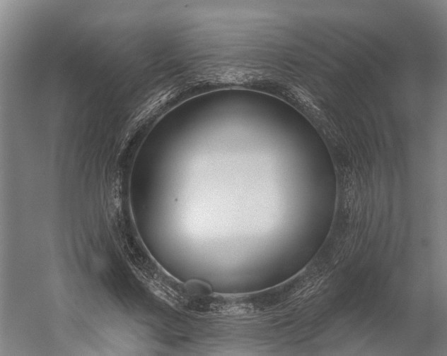 X0000058770683200510071543