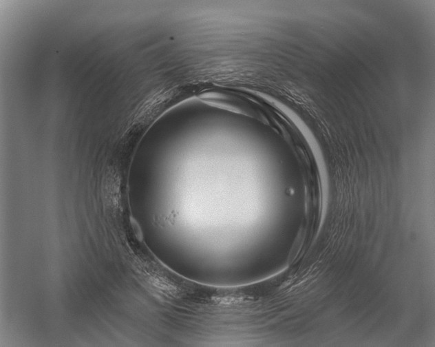 X0000058770693200510071543
