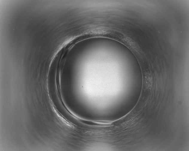 X0000058770726200510071542