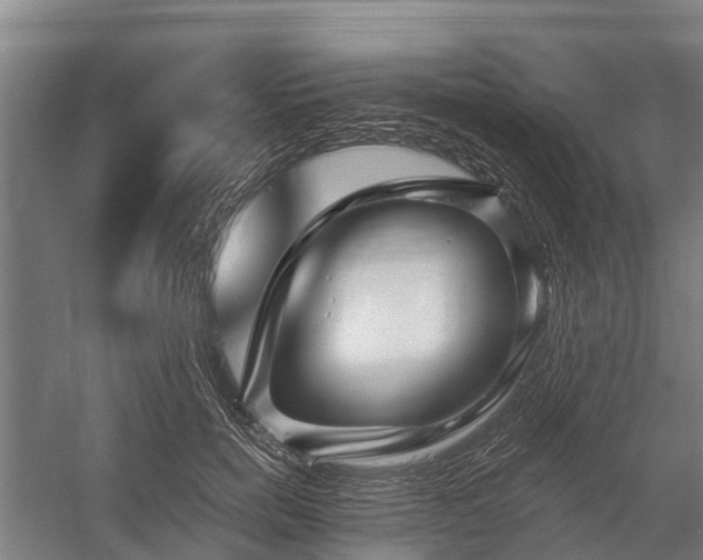X0000058770750200510071542