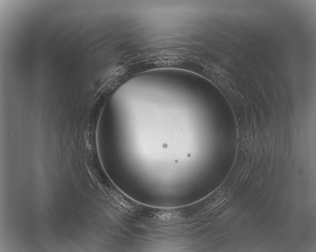X0000058770755200510071542