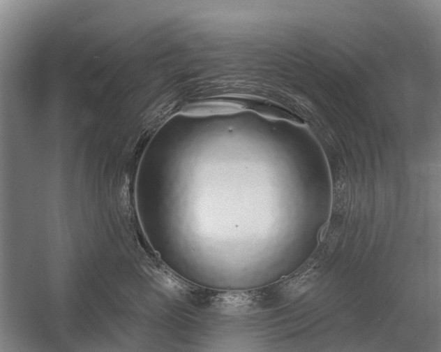 X0000058770765200510071542