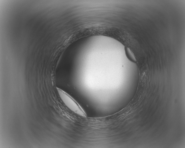 X0000058770772200510071541