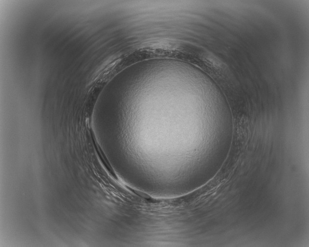 X0000058770774200510071541