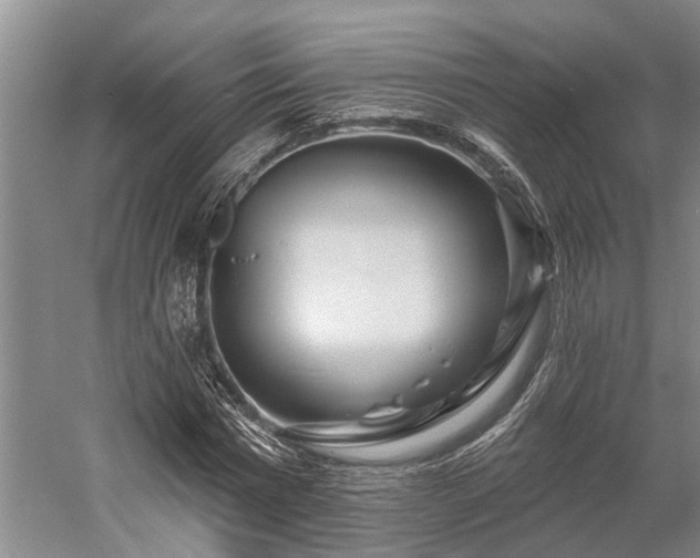 X0000058770777200510071541
