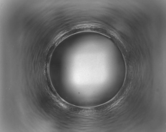 X0000058770778200510071541