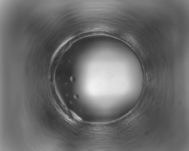 X0000058770780200510071541