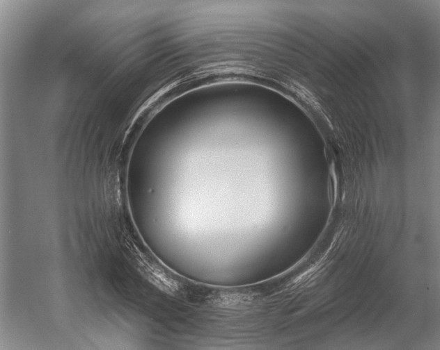 X0000058770782200510071541