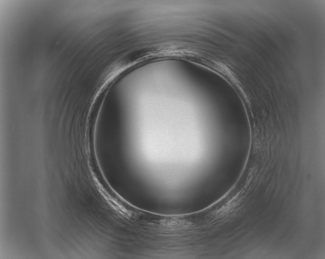 X0000058770795200510071541