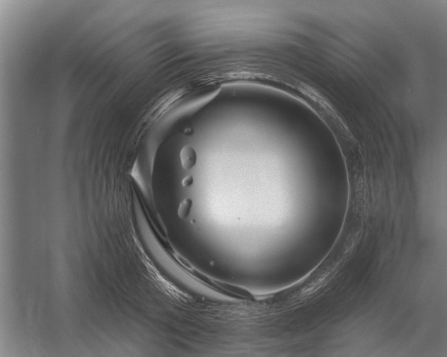 X0000058770801200510071541