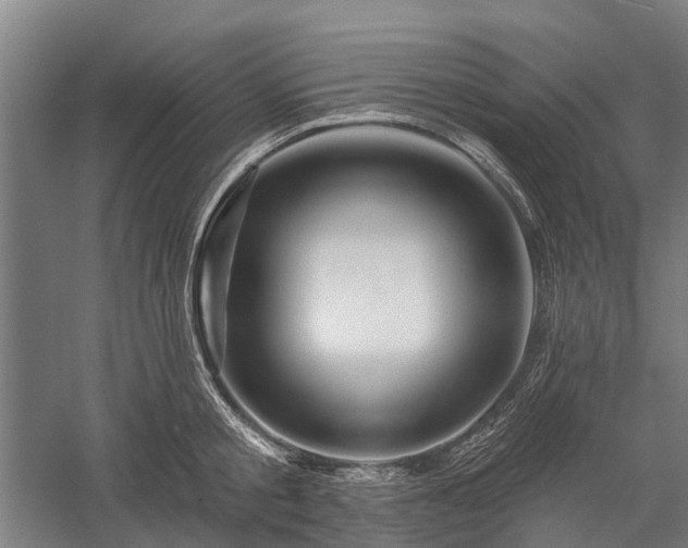 X0000058770805200510071541