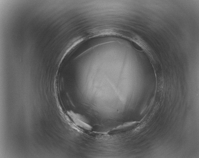 X0000058770806200510071541
