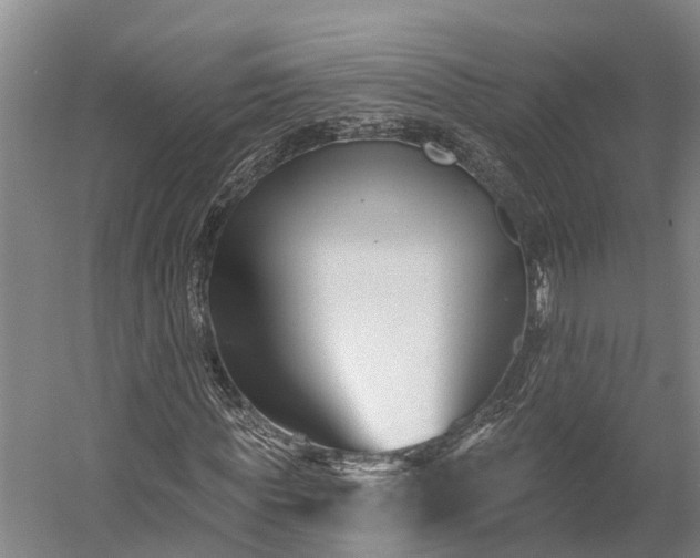 X0000058770819200510071540