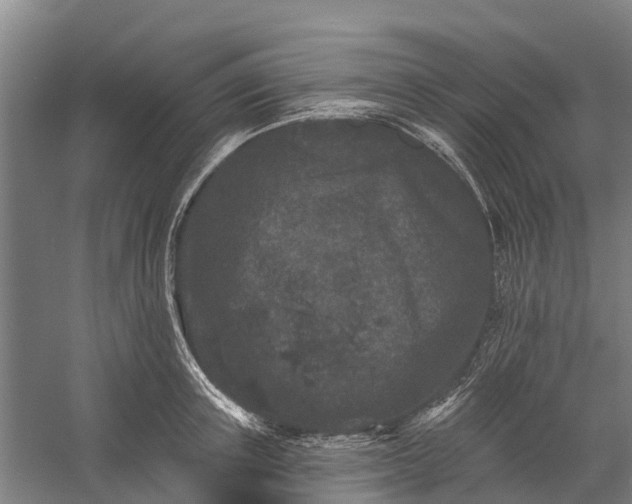 X0000058770851200510071540
