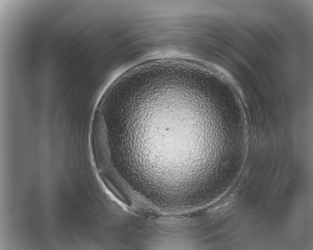 X0000058770863200510071541