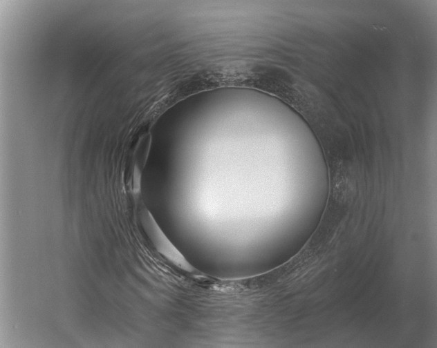 X0000058770866200510071540