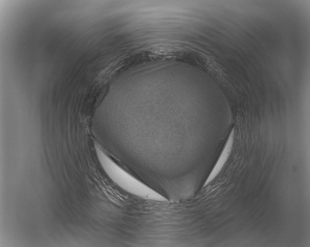 X0000058770868200510071540