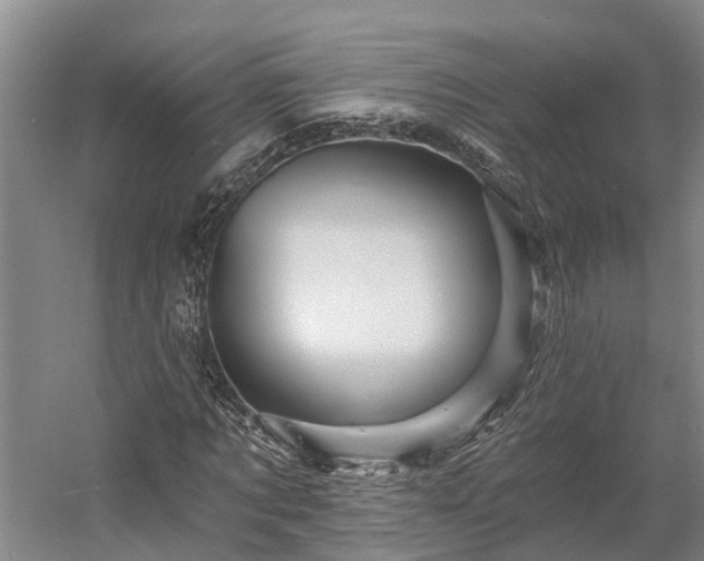 X0000058770869200510071540